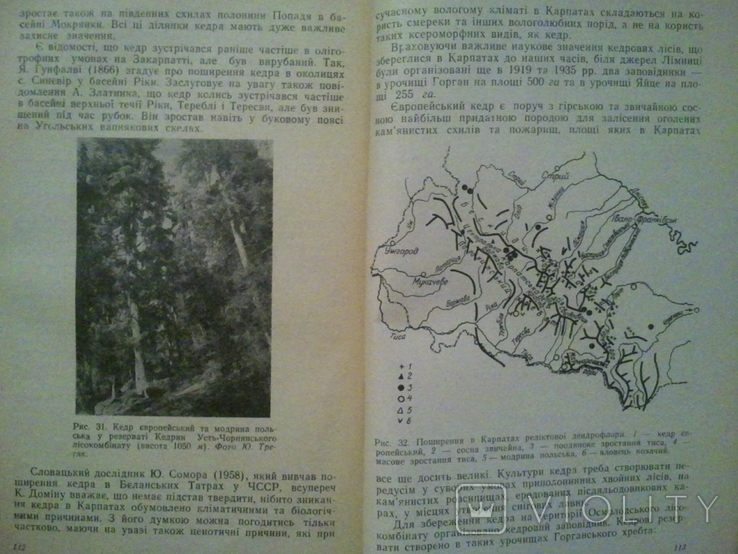 Nature reserves and natural monuments of the Ukrainian Carpathians. 1966, photo number 8