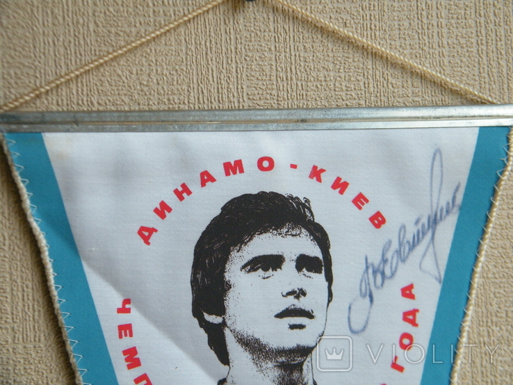 Pennant "Champion of the USSR in 1986 V. Yevtushenko"., photo number 3