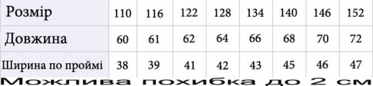 Дитяча жилетка Гра Кальмара зі світловідбивачами бежева 110 ріст 1068a110, photo number 6