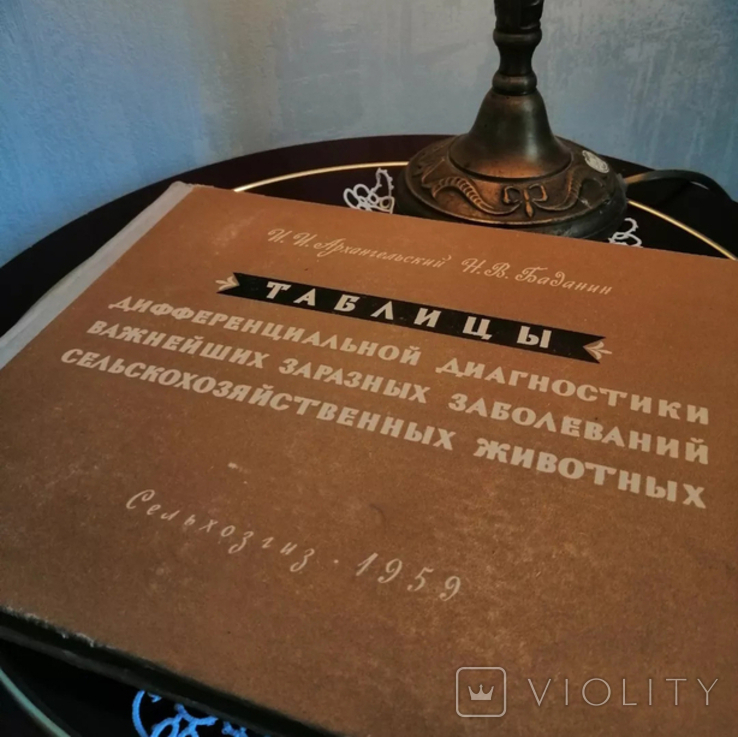 І. І. Архангельський, Н. В. Баданін «Таблиці диференціальної діагностики найважливіших інфекцій., фото №2