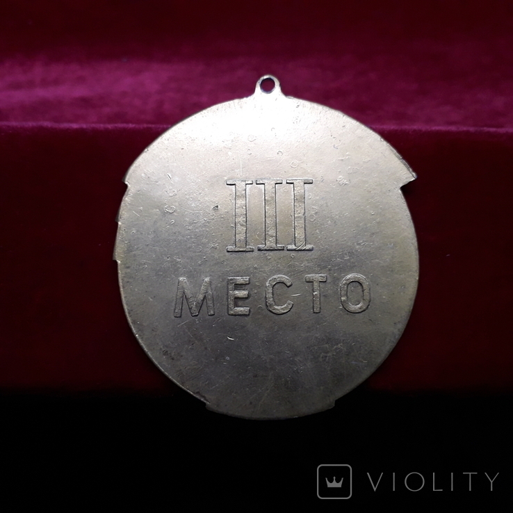 Медаль Спартакиада Запорожской области 1966 г., фото №4
