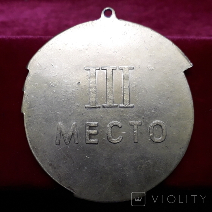 Медаль Спартакиада Запорожской области 1966 г., фото №5