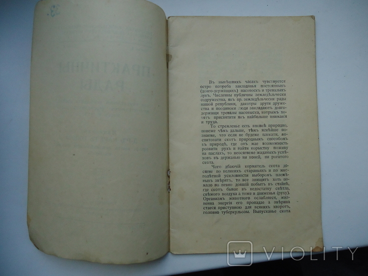 Закарпаття 1923 р Мукачево практичні ради, фото №3