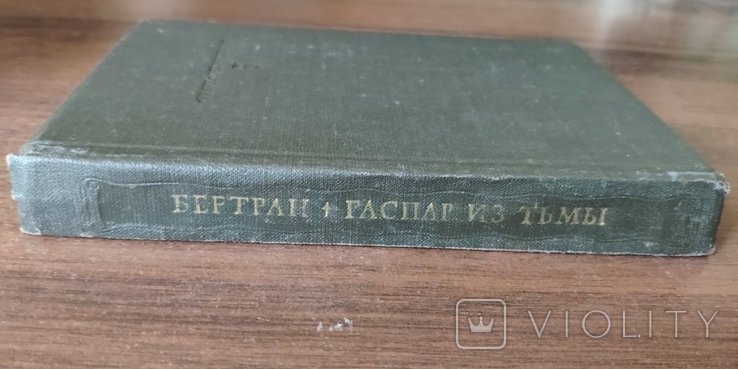 Бертран А. Гаспар из тьмы. Литературные памятники, фото №5