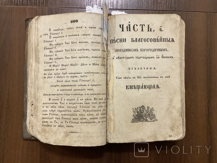 1850 Богогласник Львів ( Літографії, Дереворит, Мідерит ), фото №8