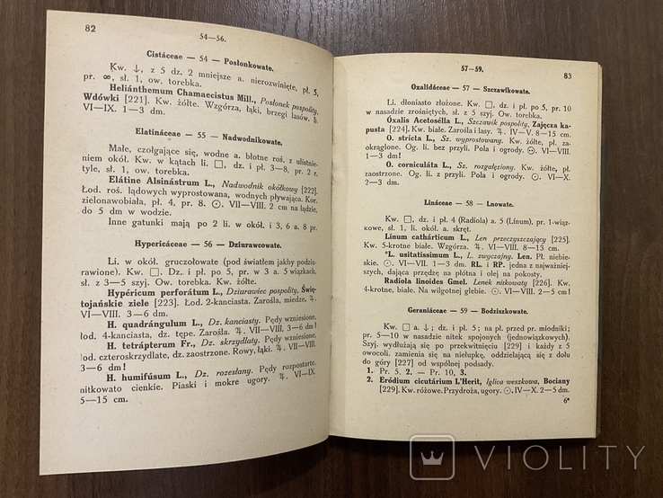 1938 Посібник з визначення рослин 440 ілюстрацій, фото №4