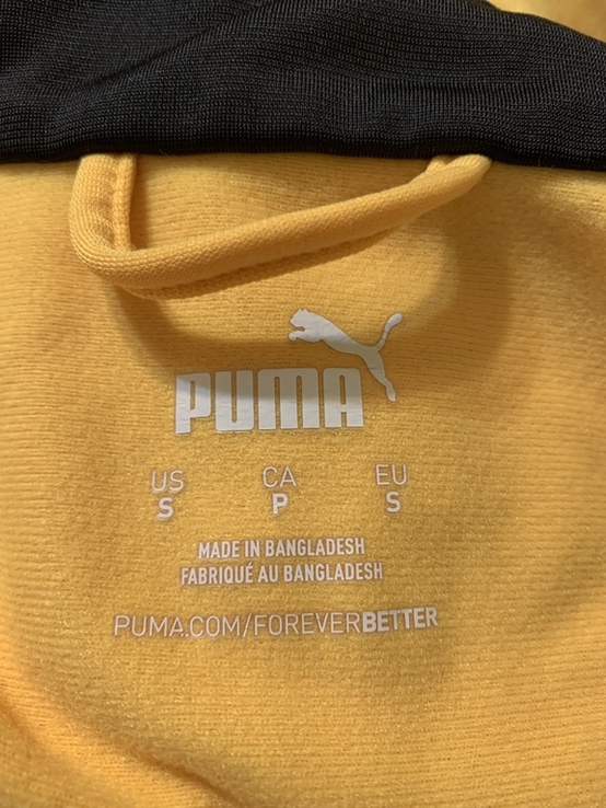 Puma, photo number 4