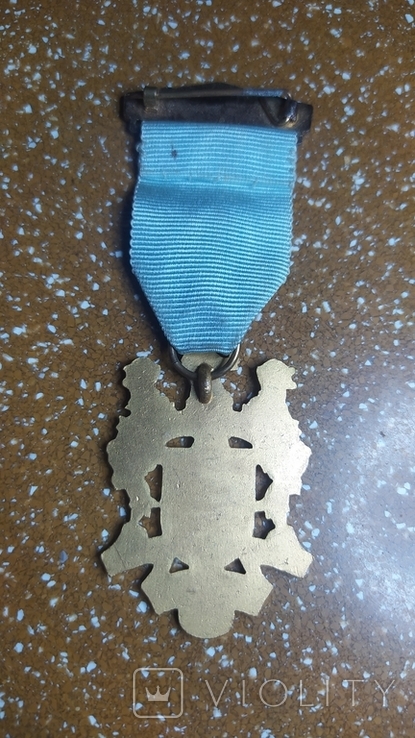 Masonic Medal. Institute for Boys. 1969 year, photo number 3