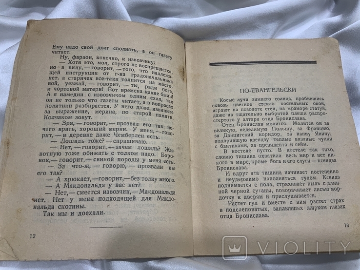 Волженин Пощечина 1928 рік, фото №5