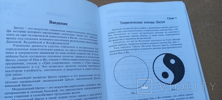 ЦИГУН в боевых искусствах. У. Цзянхун. Харьков. 2006, фото №4