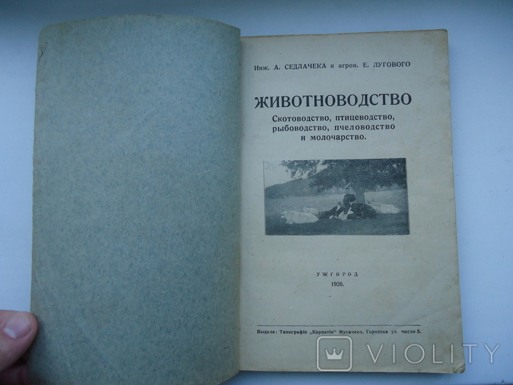 Седлачек Луговий Ужгород 1926 р Животноводство, фото №3