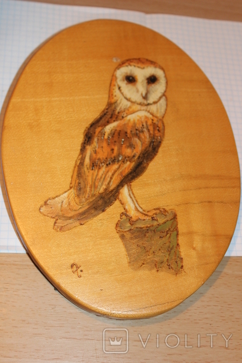 Owl, photo number 2