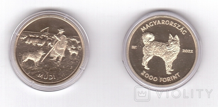 Hungary Hungary - 2000 Forint 2022 dog Moody, dog breeds in capsule comm.