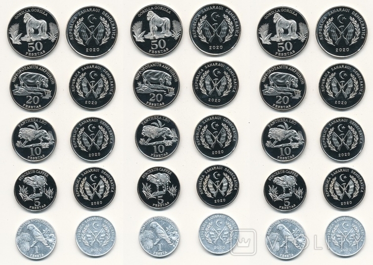 Saharawi Saharan ADR - 3 pcs x set of 5 coins 1 2 5 20 50 Pesetas 2020, photo number 2