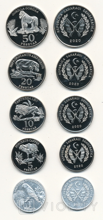 Saharawi Saharan ADR - 3 pcs x set of 5 coins 1 2 5 20 50 Pesetas 2020, photo number 3