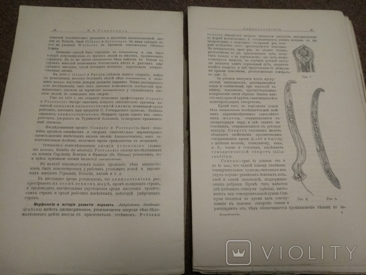1915 год Микробиология медицинская, фото №9