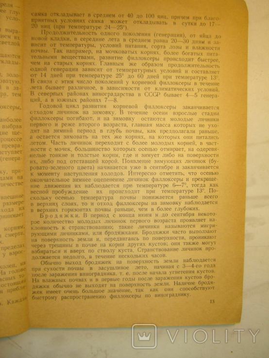 Phylloxera and measures to combat it.1941, photo number 5