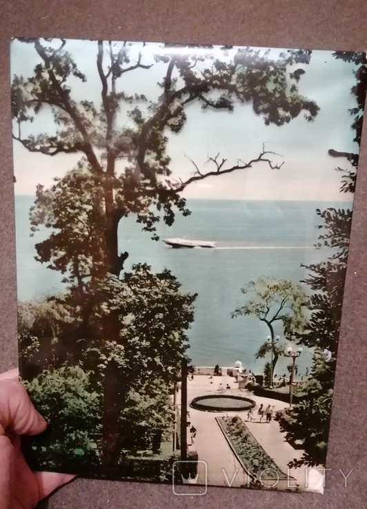 Фото картинка именная. 1977г. Море Сочи, фото №2