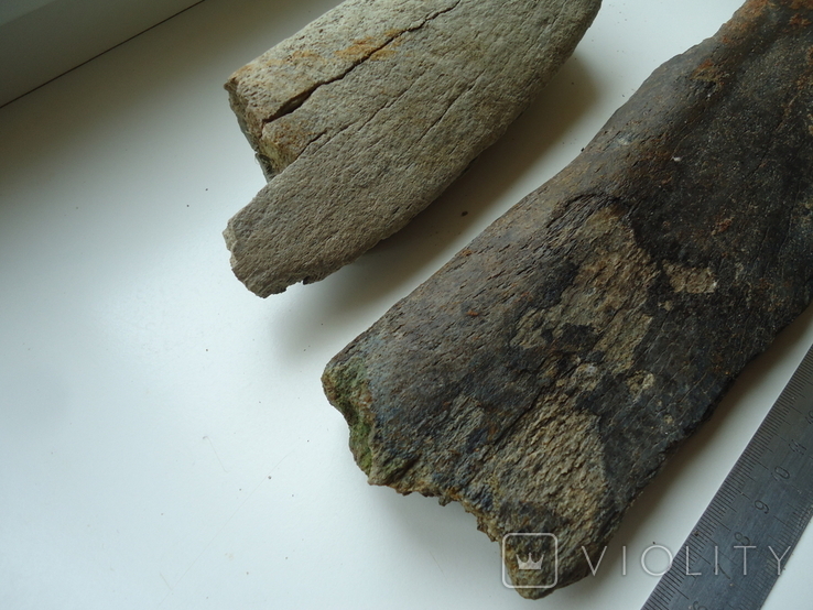 Fragments of fossilized animal bones, photo number 3