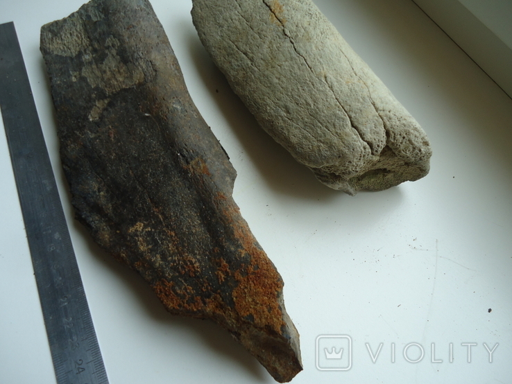 Fragments of fossilized animal bones, photo number 4