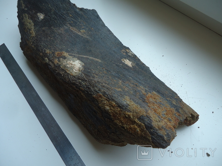 Fragment of a fossilized animal bone, photo number 4