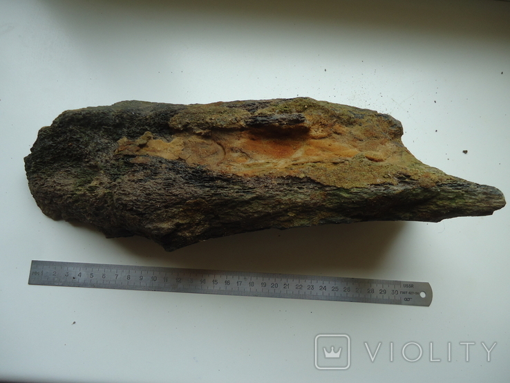 Fragment of a fossilized animal bone, photo number 5