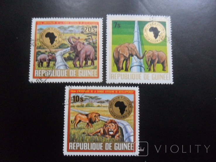 Fauna. Guinea. elephants, lion. gash