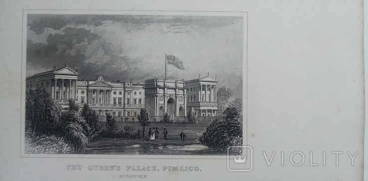  Королевский дворец в Пимлико, фото №3