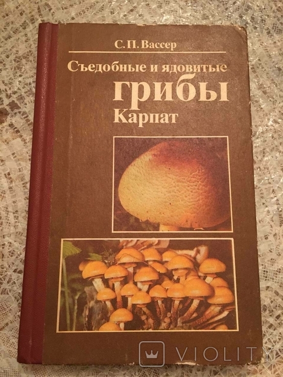 Edible and poisonous mushrooms of the Carpathians. S.P.Wasser, photo number 2