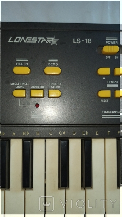 Синтезатор LONESTAR, MODEL LS - 18., photo number 3