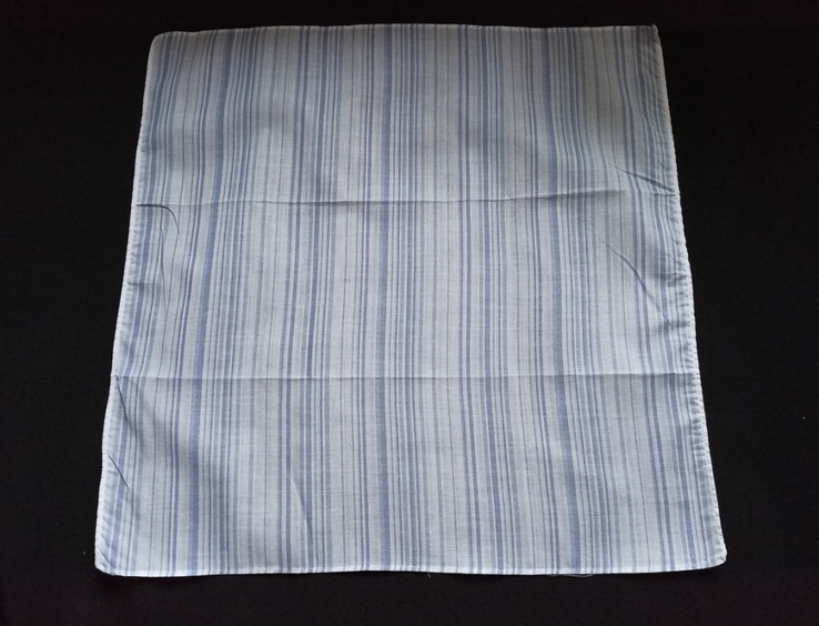 Носовой № 4-л2 платок мужской носовой белый в голубые полосы хлопок, photo number 4