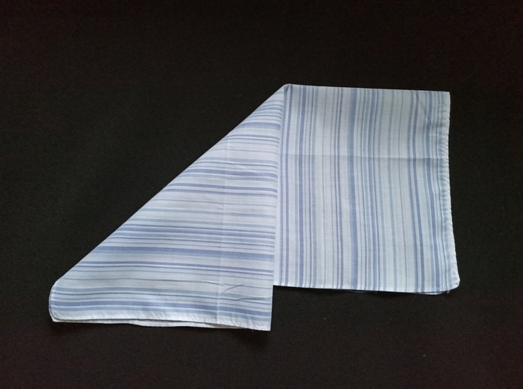 Носовой № 4-л2 платок мужской носовой белый в голубые полосы хлопок, photo number 6