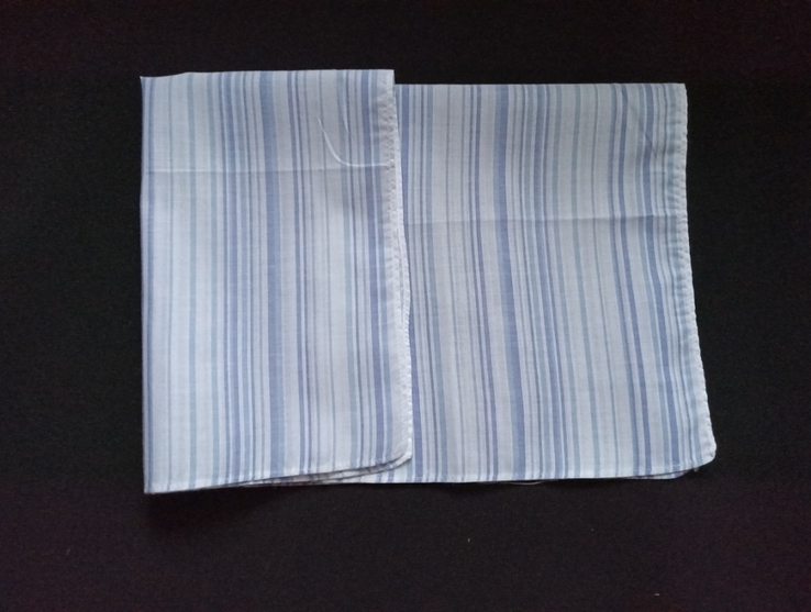 Носовой № 4-л2 платок мужской носовой белый в голубые полосы хлопок, photo number 7