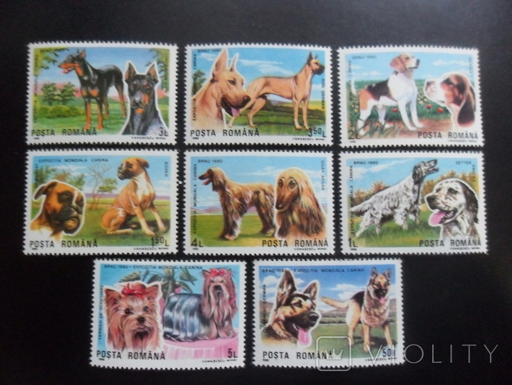 Fauna. Romania. 1990. Doggies. MNH series