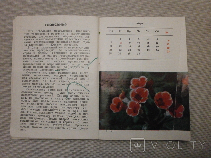 Календар квітника 1988 р., фото №5