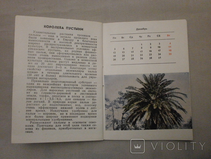 Календар квітника 1988 р., фото №7