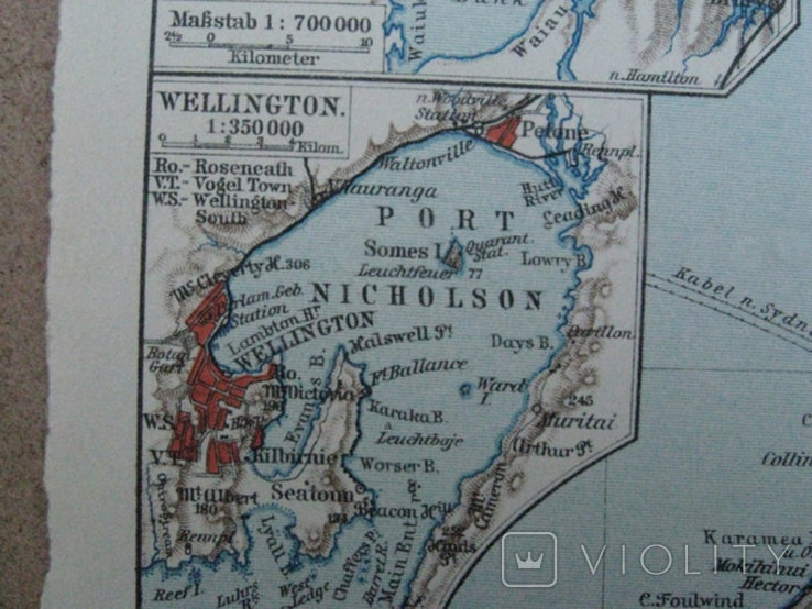 Новая Зеландия, острова. 160х244 мм, 1910-е годы, фото №8