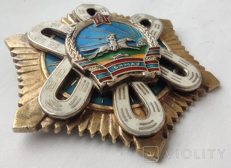 Орден "Полярної Зірки" №16544, фото №11