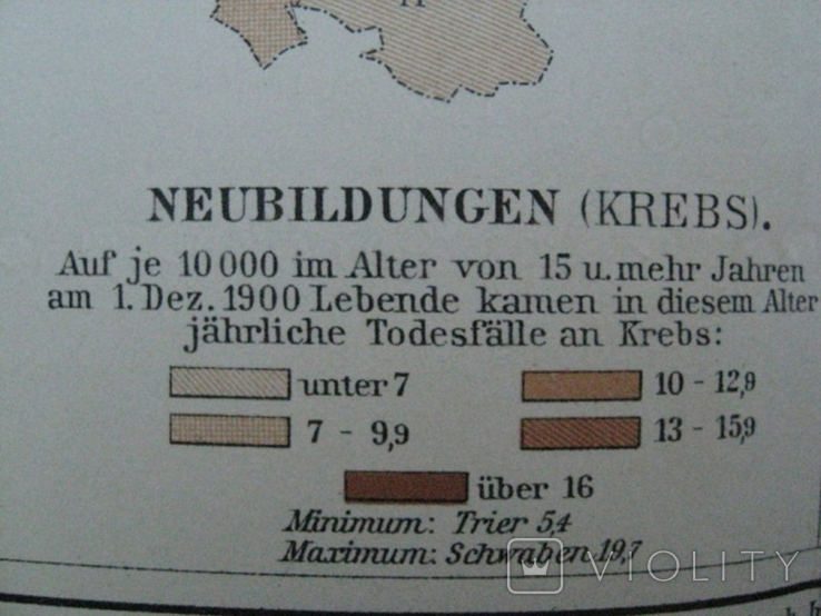 Болезни в Германии в начале 20 века. 244х 305 мм,1910-е гг, нем. язык, фото №7