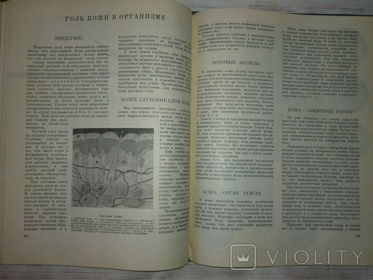 Книга о здоровье. 1959 г, фото №10