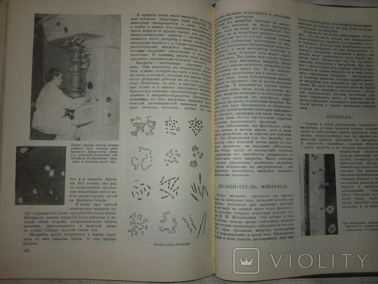 Книга о здоровье. 1959 г, фото №11