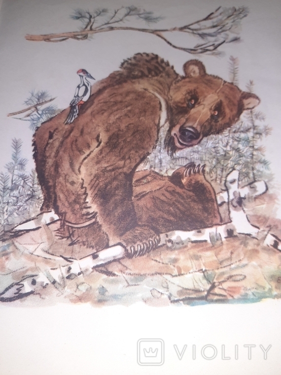 Как медведь трубку нашел Рсфср 1955 год, фото №9