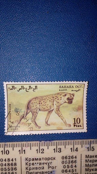 Sahara Fauna Mark No. 3