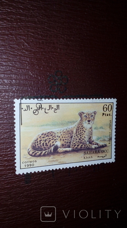 Sahara Fauna Mark No. 4
