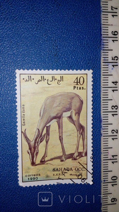 Sahara Fauna Mark No. 2