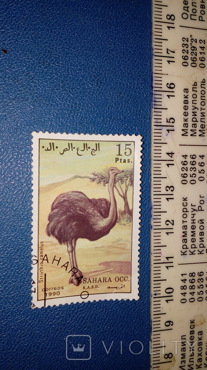 Sahara Fauna Mark No. 1