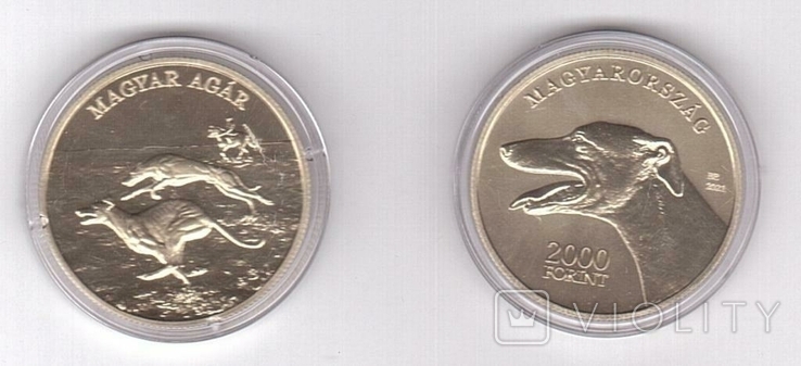 Hungary Hungary - 2000 Forint 2021 UNC Hungarian Greyhound Agar Fauna