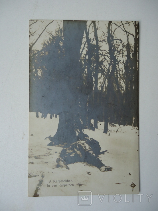 Карпати 1914/18 рр австрійські військові, фото №2