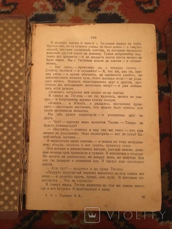 Колекція І. С. Тургенєва 1930-х років, фото №8