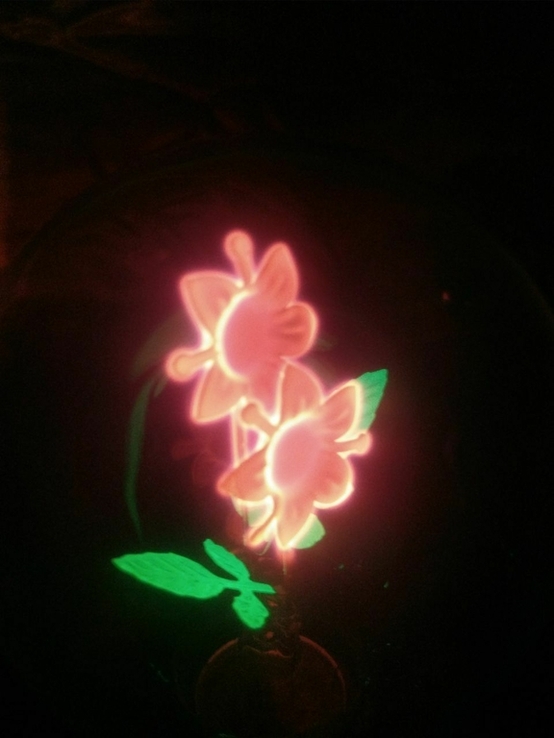 Лампочка с цветами, фото №5